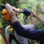 Sipline